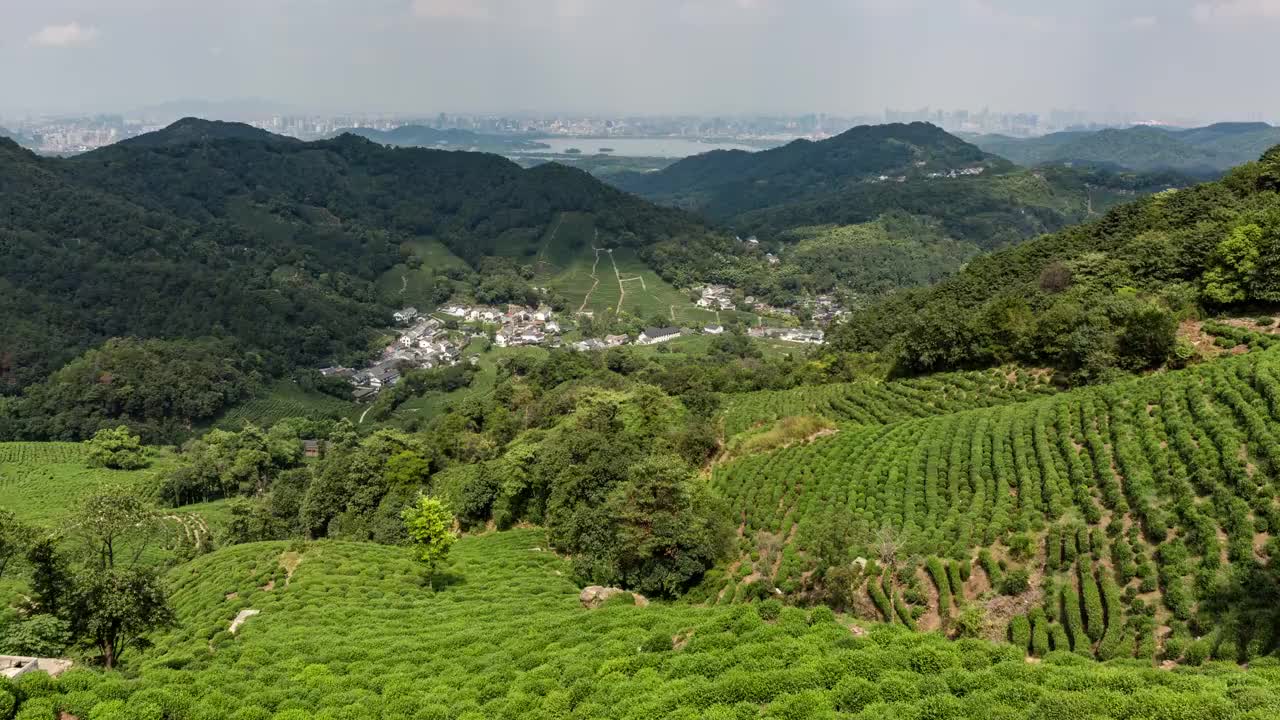 4K延时:被茶园包围的龙井村，中国杭州天际线视频素材