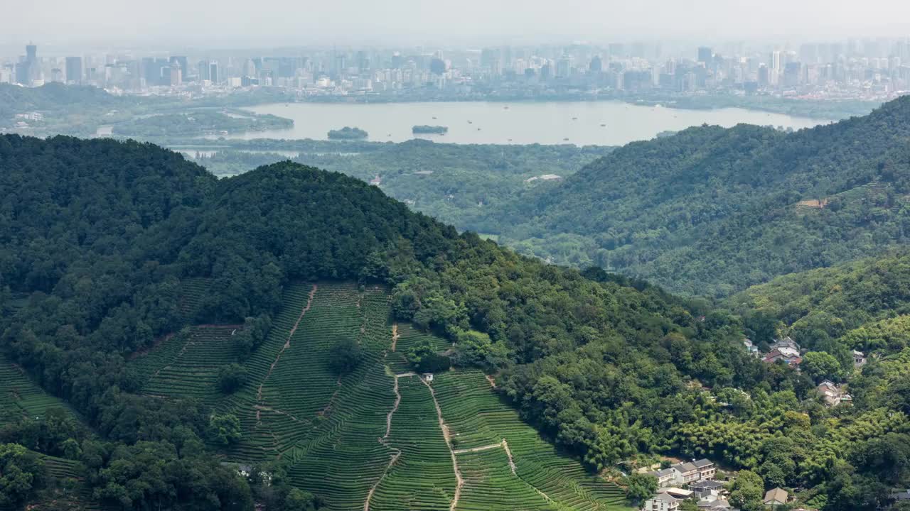 4K延时:山坡上的梯田茶园，背景是市中心的天际线，杭州，中国视频下载