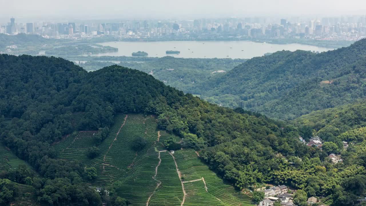 4K延时:山坡上的梯田茶园，背景是市中心的天际线，杭州，中国视频素材