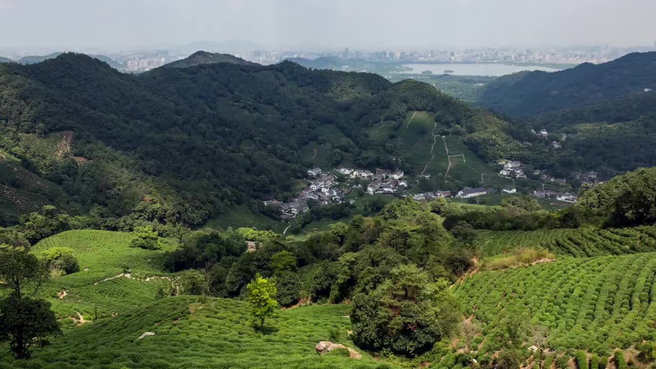 4K延时:中国杭州，山坡上的茶园视频下载