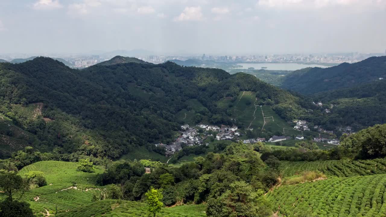 4K延时:中国杭州，山坡上的茶园视频素材