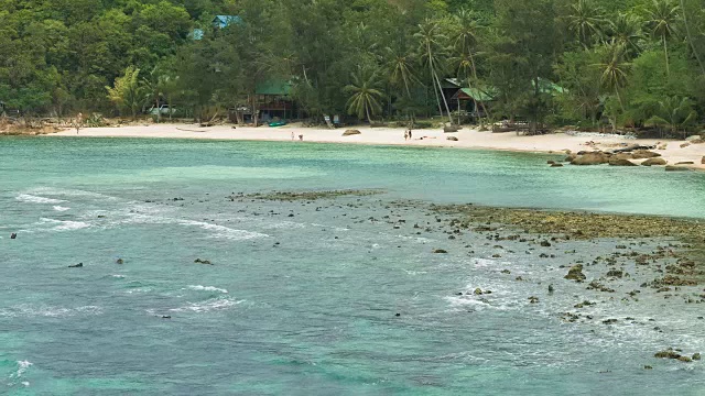 热带沙滩，棕榈树和湛蓝的海浪翻滚在退潮视频素材