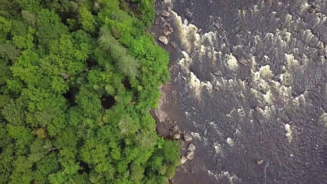 夏季北方自然森林和河流鸟瞰图视频素材