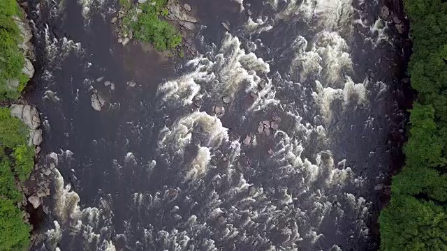 夏季北方自然森林和河流鸟瞰图视频素材