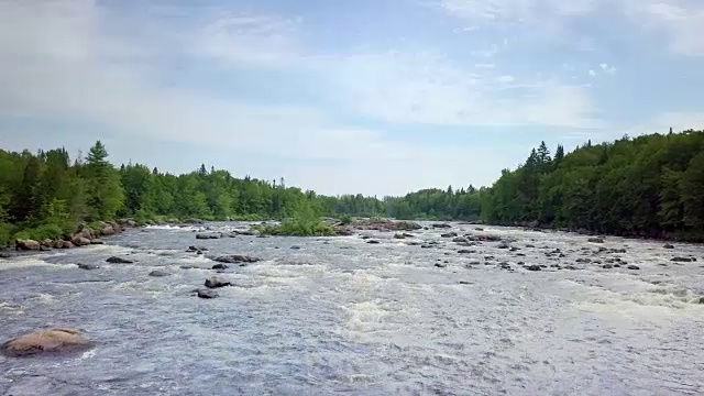 夏季北方自然森林和河流鸟瞰图视频素材