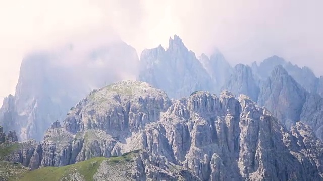 阿尔卑斯山花的抽象背景。视频素材