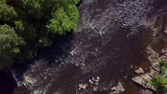 夏季北方自然森林和河流鸟瞰图视频素材