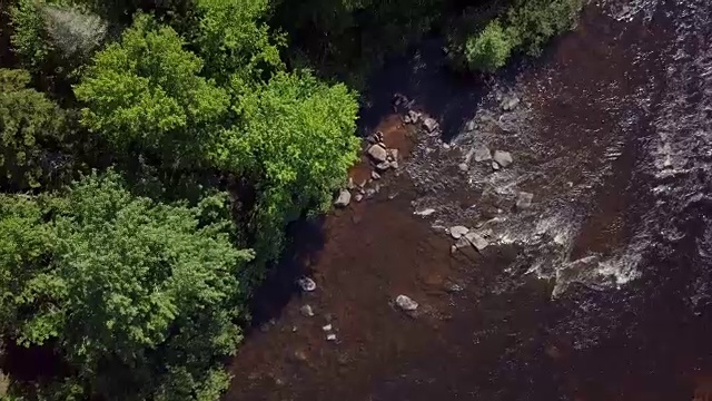 夏季北方自然森林和河流鸟瞰图视频素材