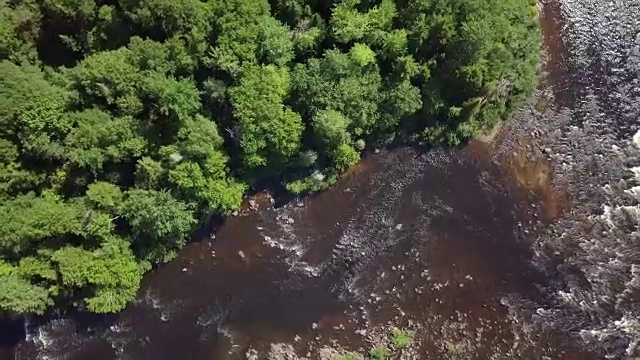 夏季北方自然森林和河流鸟瞰图视频素材