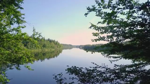 夏季自然森林和河流鸟瞰图视频素材