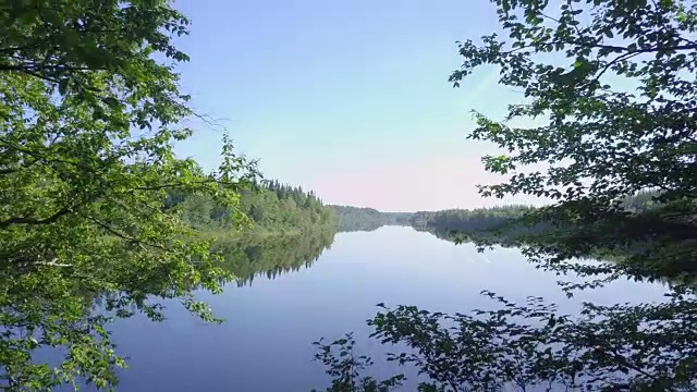 夏季北方自然森林和河流鸟瞰图视频素材