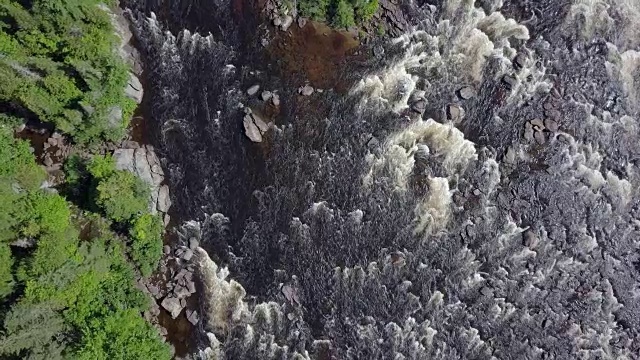 夏季北方自然森林和河流鸟瞰图视频素材