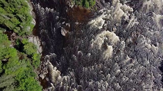 夏季北方自然森林和河流鸟瞰图视频素材