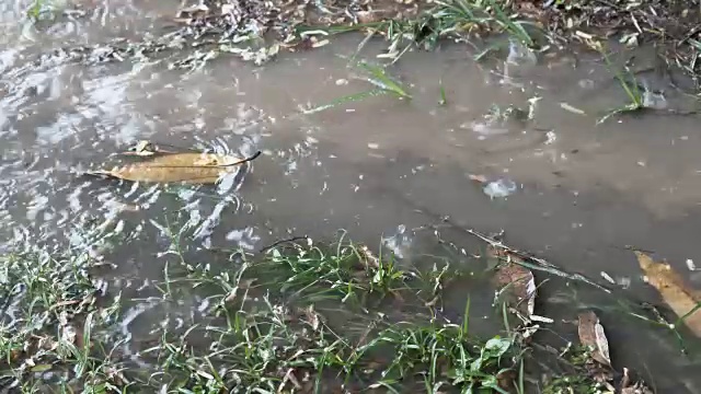 地面和草地上下着大雨视频下载