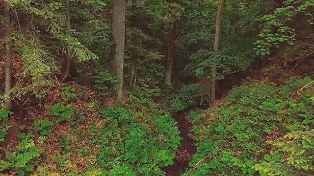 空中飞过美丽的山脉，峡谷和小河。照相机飞进了茂密的森林视频素材