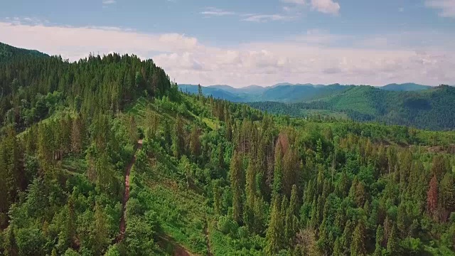 航拍山谷、山脉、松树、松针。难以置信的蓝天景色视频素材