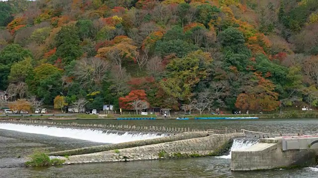 秋桂河，岚山，日本视频素材