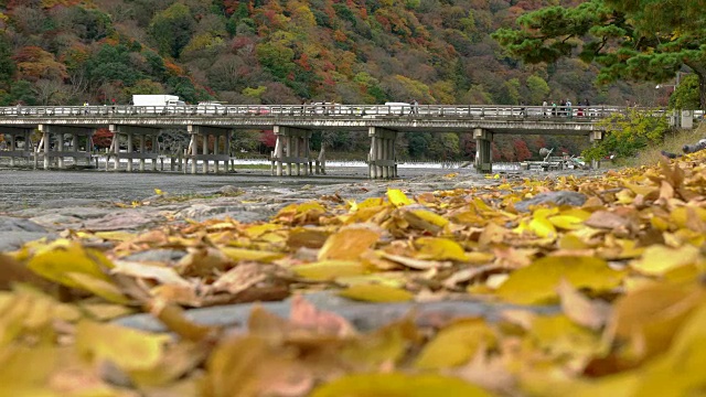 游客在日本京都岚山秋日参观月桥视频素材