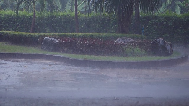 在夏天的一天，在公园里下雨视频素材