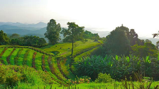 泰国北部美丽的山景。视频素材