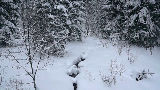 溪水上覆盖着积雪的树木视频素材