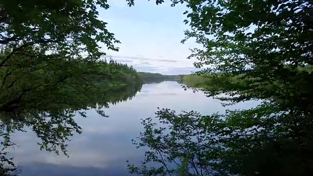 夏季自然森林和河流鸟瞰图视频素材