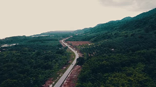 森林中道路的鸟瞰图视频素材