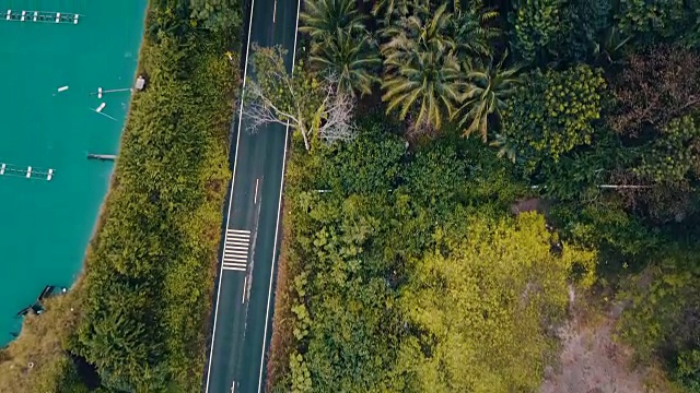 森林中道路的鸟瞰图视频素材