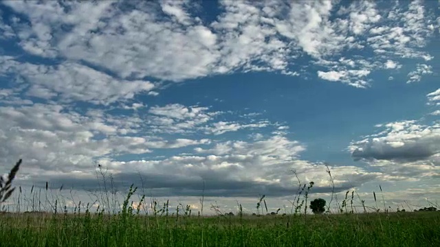 美丽的云彩映衬着绿草。阳光灿烂。时间流逝的视频视频素材