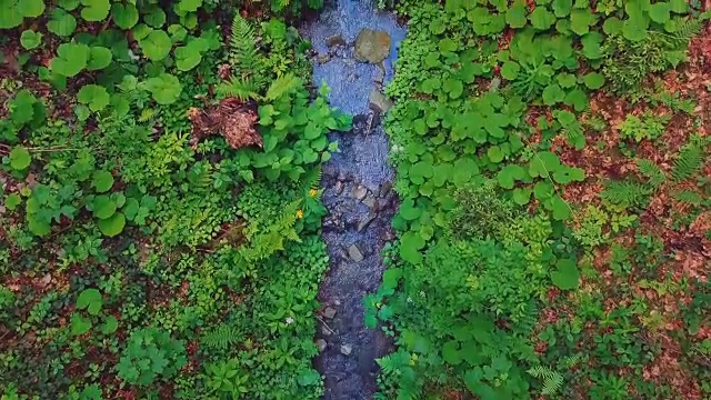 空中飞过美丽的山脉，峡谷和蓝溪河视频素材