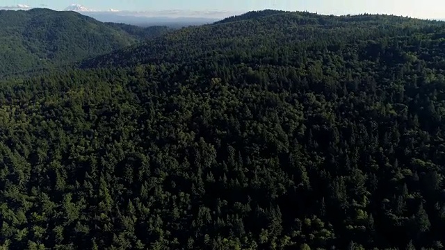 从直升机上俯瞰太平洋西北山区森林，以雷尼尔山为背景视频素材