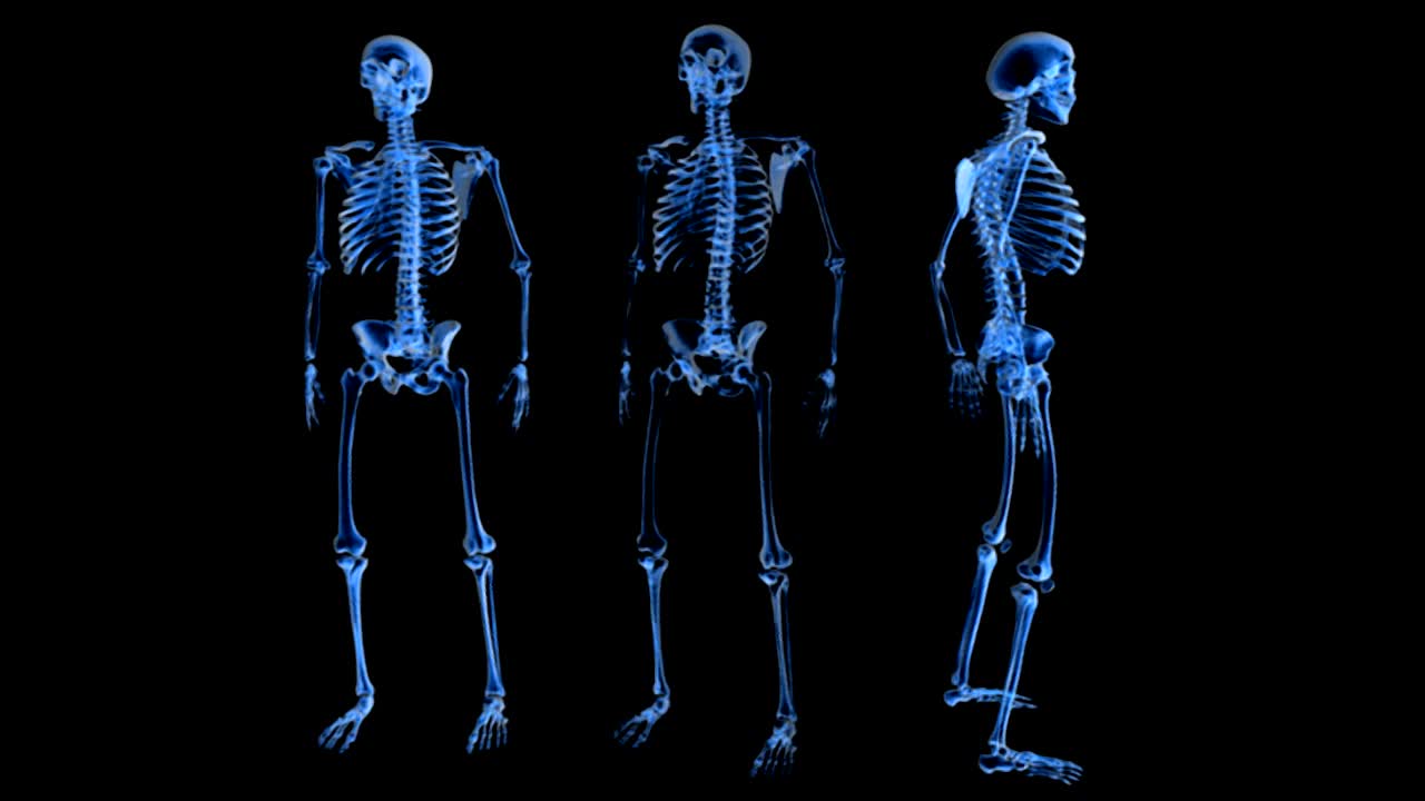 在黑色背景的x光透视下，三个骷髅中间完全逆时针旋转。左骨为前视，右骨为侧视视频素材