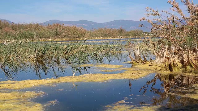 沼泽湖与废墟和山，土耳其米利都视频素材