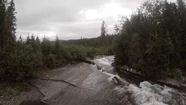 山涧在岩石和树木之间流淌。鸟瞰图视频素材