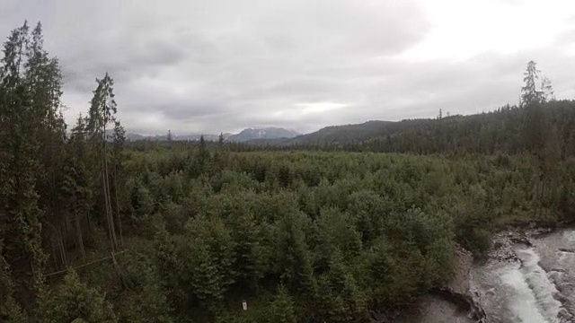 山涧在岩石和树木之间流淌。鸟瞰图视频素材