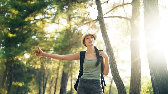 旅行者女人搭便车在一个阳光明媚的森林道路。旅游女孩找车开始她的旅程视频素材