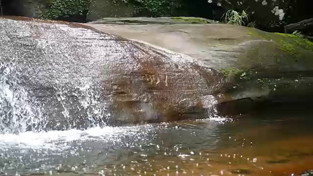 森林中的淡水瀑布视频素材