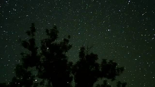 树木上方夜空中的移动星星。时间流逝视频素材