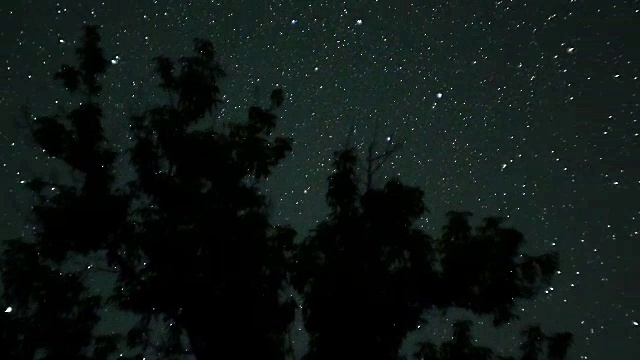 树木上方夜空中的移动星星。时间流逝视频素材