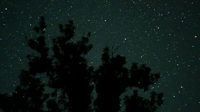 树木上方夜空中的移动星星。时间流逝视频素材