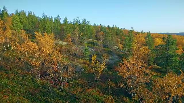 秋天的风景视频素材