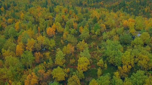 秋天的风景视频素材