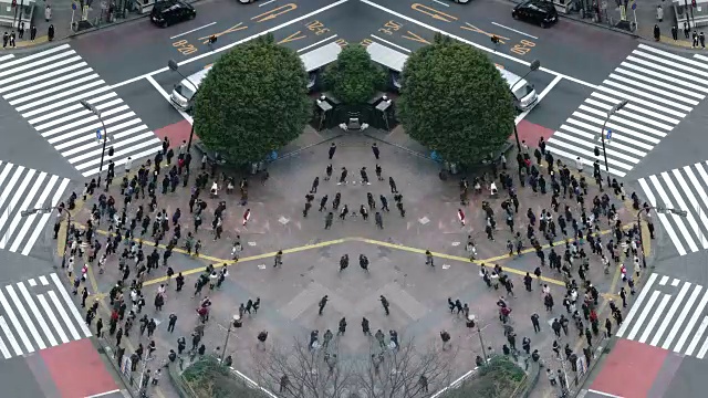 涉谷十字路口行人过马路鸟瞰图视频素材