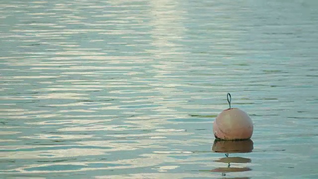 浮在水面上的浮标视频素材