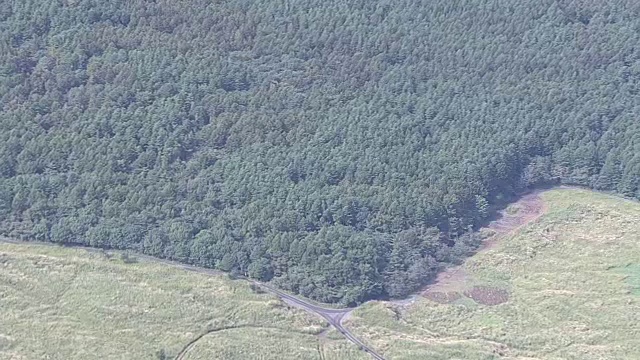 日本富士山，藤吉田和甘诺安娜视频素材