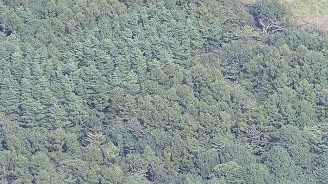 在富士山，山梨县，日本视频素材