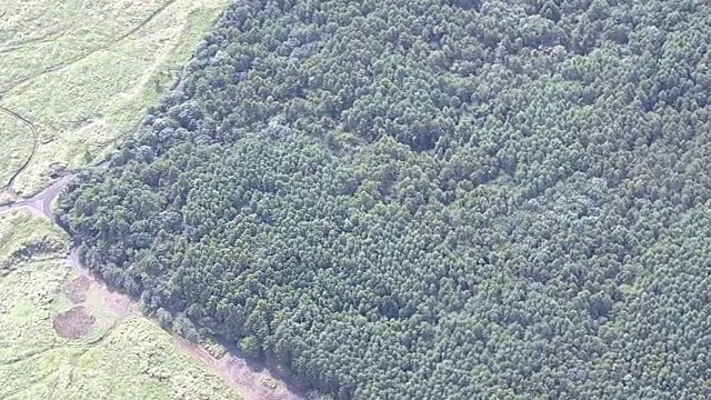 在富士山，山梨县，日本视频素材