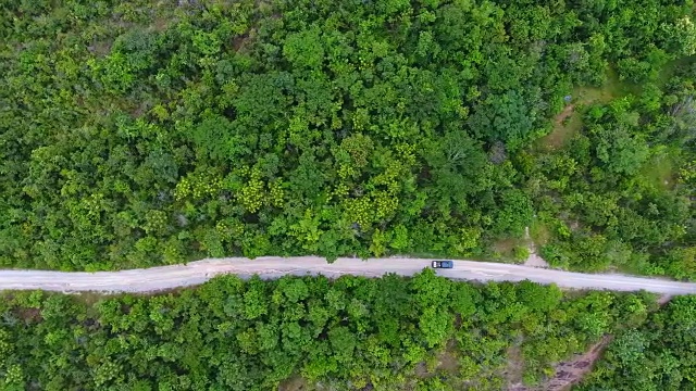 穿过森林的道路鸟瞰图。视频素材