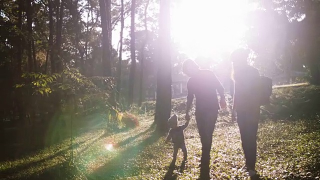 亚洲父母带着男婴在森林里散步。视频素材