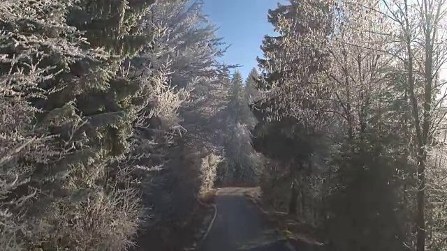 空荡的道路穿过覆盖着白冰的冰冻森林视频素材